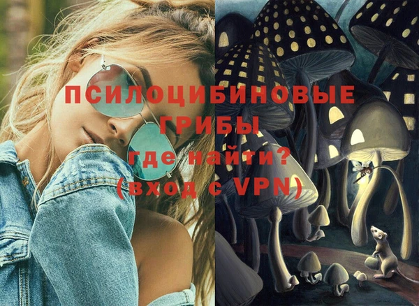 PSILOCYBIN Баксан