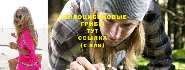 PSILOCYBIN Баксан