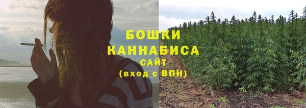 spice Балахна