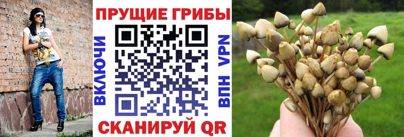 ОМГ ОМГ сайт  Куровское  Галлюциногенные грибы мухоморы 